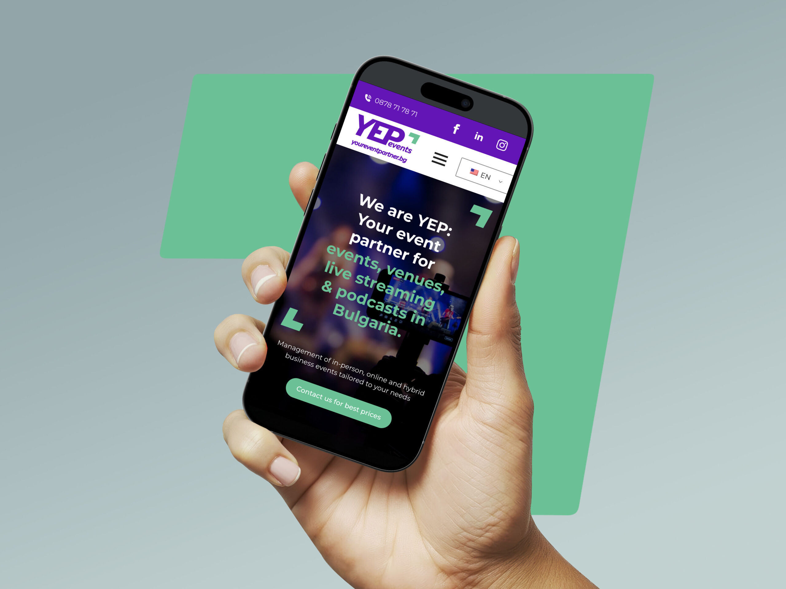 Website development
